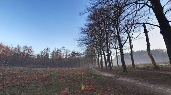 Natuurparken en Bossen